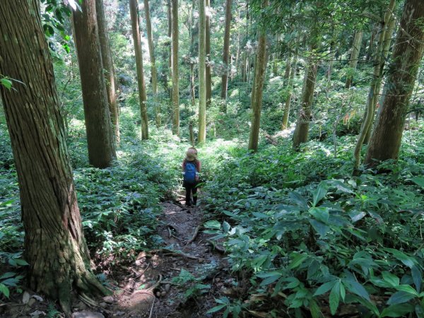 向天湖山、光天高山、三角湖山O繞1725017