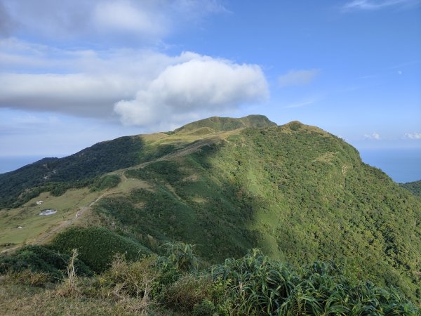 2023.11.23 桃源谷內寮線登灣坑頭山2503655