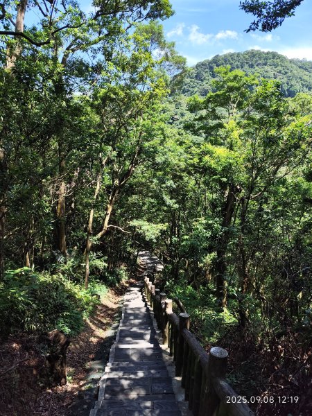 【臺北大縱走 7】2-2 指南宮貓空親山步道→壺穴步道→茶展中心步道→大成殿步道→指南宮竹柏參道2881857