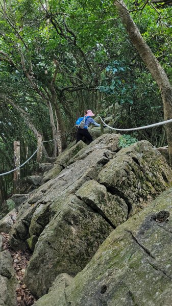 【高雄 | 內門】 龍鱗山二刷1440527