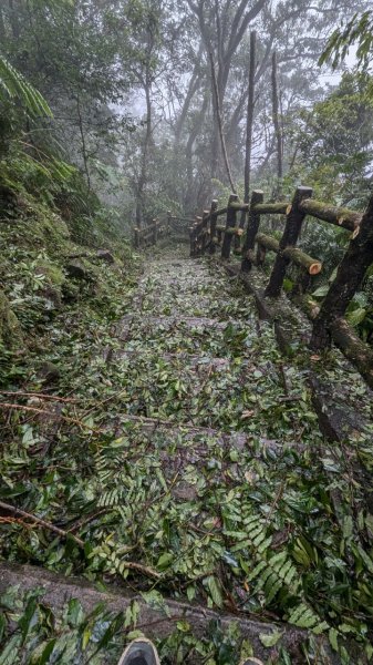 113.11.02颱風過後的二格山之行2641546