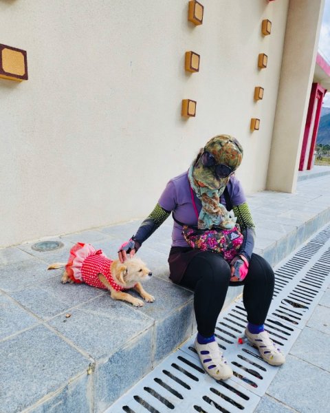 西藏♥️可愛動物🐎人物寫真/拉薩旅拍/美食2902966