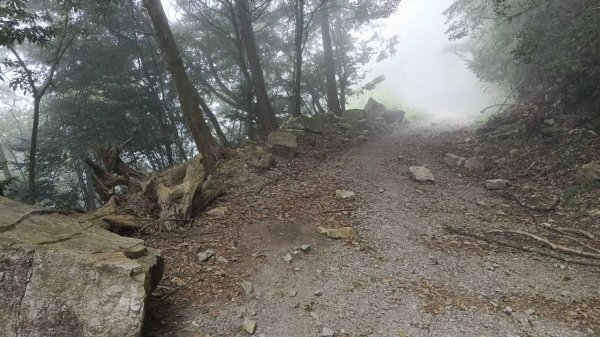 20251010 大雪山國家森林遊樂區 - 船型山林道 登 烏石坑山2911118