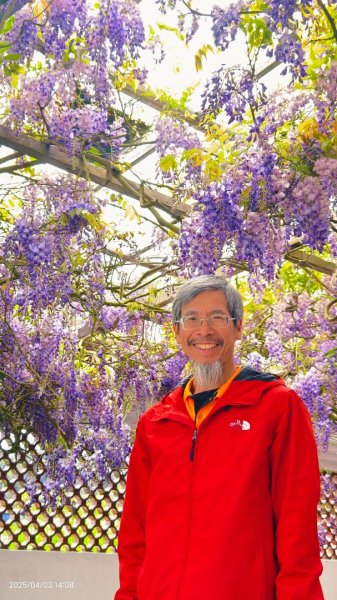 追花是簡單的快樂，賞花是恬淡的幸褔 4/32751464