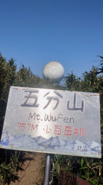 春天鮮綠的呢喃基隆荖寮坑古道上望古山登五分山O型2747324