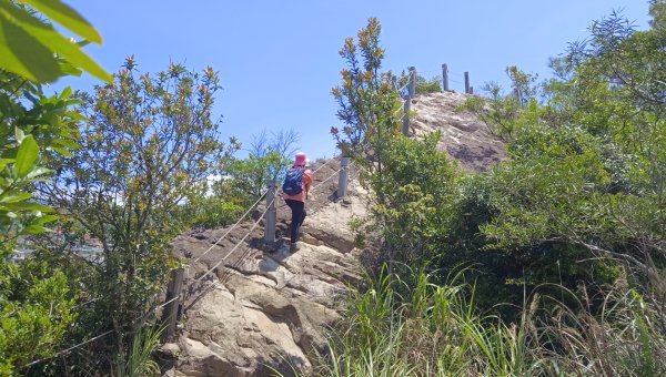 (姨婆趴趴走)第四十三集:攀登連走奇岩山、軍艦岩、丹鳳山2499499