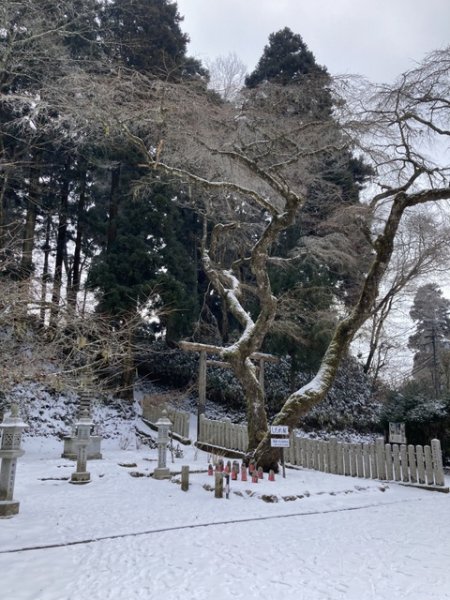 3 大阪金剛山全記錄2711059