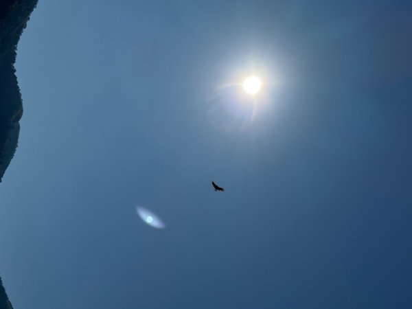 20250216瑞峰瑞里健行2730529