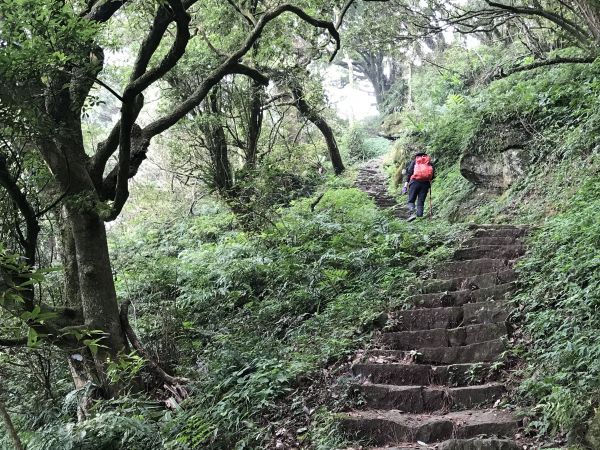 大屯群峰環走向天池二子坪150142