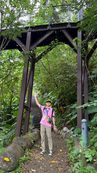 多元化的文山森林公園|天空步道|趣探險之丘|峯花雪月2834959