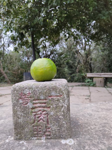 關子嶺大凍山814058