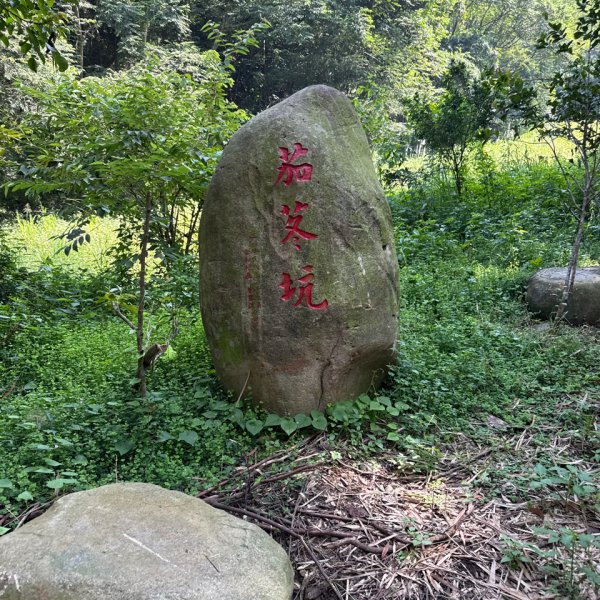 20250927 彰化－臺灣百大必訪步道坑內坑森林步道2969091