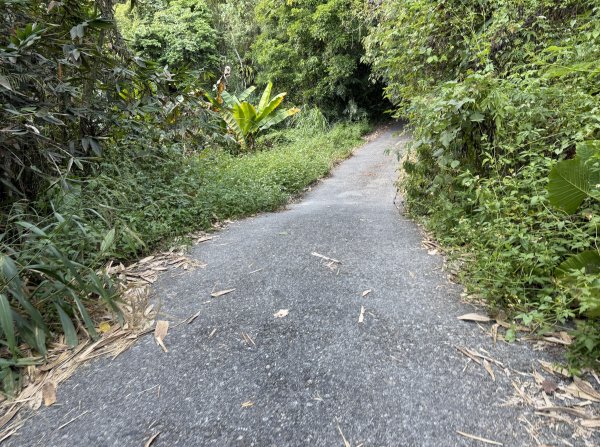 2025_1018 花蓮縣鳳林鎮鳳凰瀑布2921366