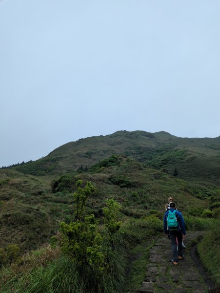 2023.04.22－七星山步道2123977
