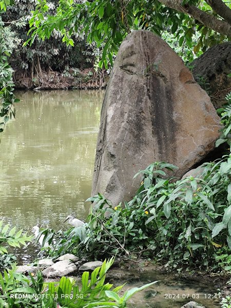 大安森林公園【走路趣尋寶】【臺北健走趣】2541531