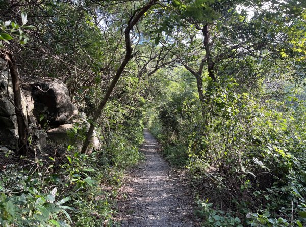 [屏步青雲 尋寶任務-09/10] 2024_1109 里龍山自然步道2646527