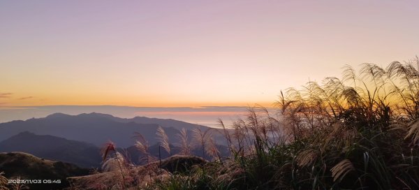 五分山夜景/晨曦/日出/山嵐/芒花2335007