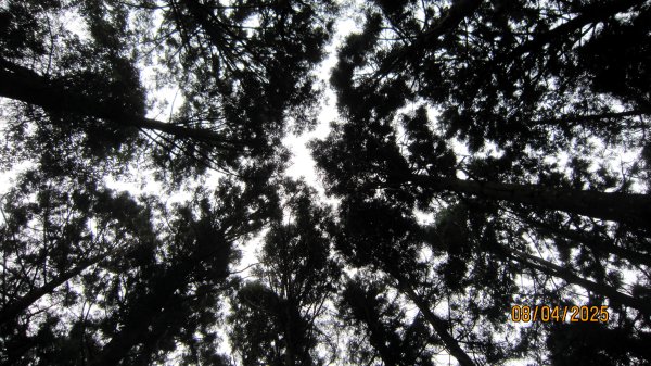 【油羅山/露營】 仙境舒活健走，雲端徜徉野趣！2887913