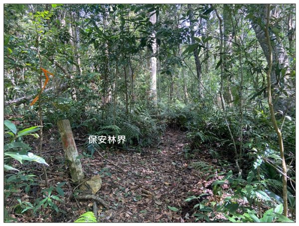 南東眼山 新基石 (南投、仁愛)2844769