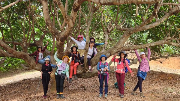 112/1/8苗栗縣頭屋鄉曲洞宮-墨硯山北峰-墨硯山-曲洞宮O型1992953