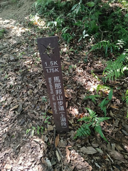 苗栗馬拉邦山2983704