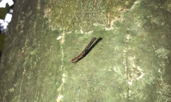 蓬萊仙島_石牛山_油井窩山O型201404301959952