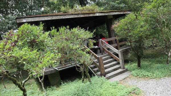 福山植物園登山健行趣(步道)2269382