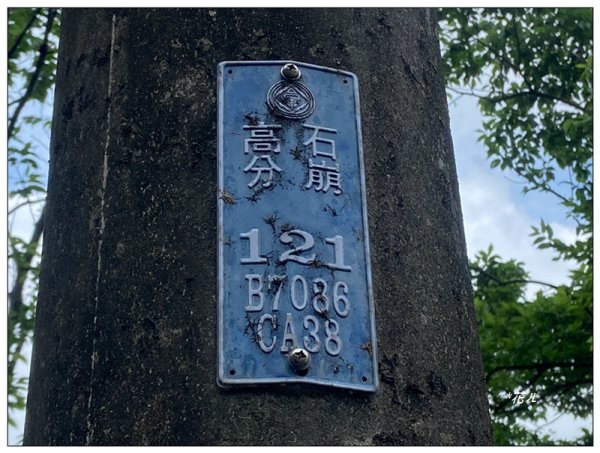 嵩山梯田 ( 新北、石門 )3049986
