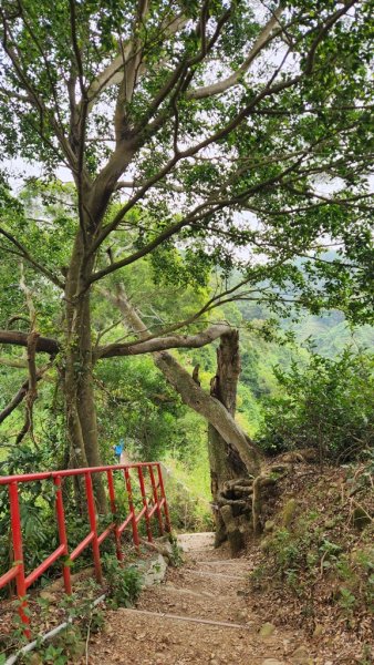 田中麒麟山連走田中森林公園北天宮O繞+ 田中大小劍逆走2756731