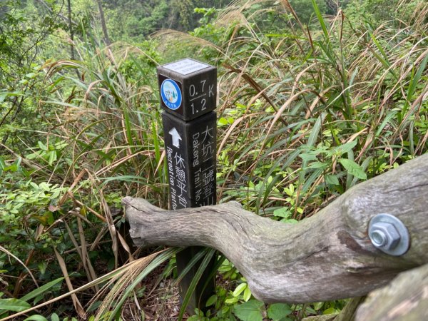 大坑2號原路來回2130451