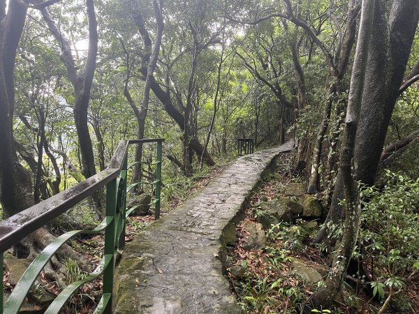 [阿龍尋寶任務]2023_0702_鯉魚山親山步道2273824