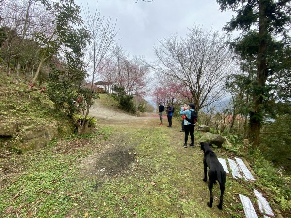 坐公車接駁的神仙縱走2707439