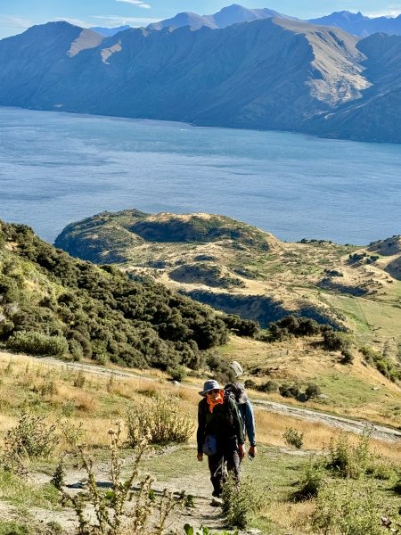 紐西蘭之旅-羅伊峰（Roy Peak ）Hiking 2025.1.282709655