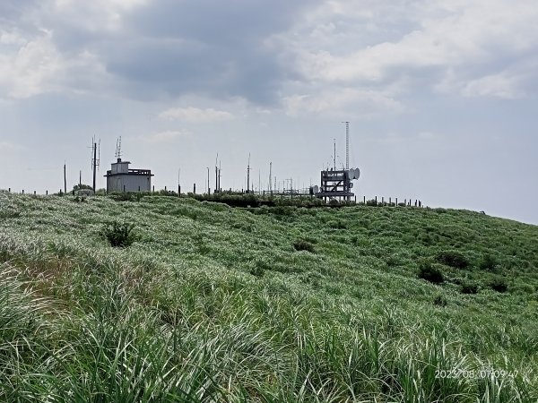 【臺北大縱走 2+1】鞍部→大屯山主、南、西峰連走→面天坪→清天宮2242873