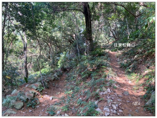 東松鶴山～八仙山 (台中 和平)2940425