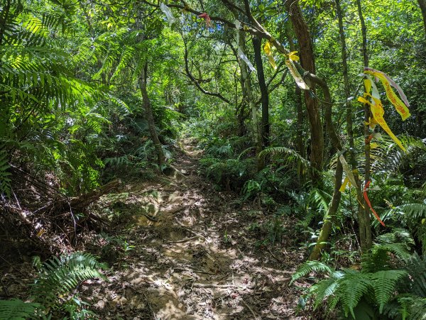 大溝溪生態治水園區。龍船岩。大崙頭山(小百岳)。圓覺瀑布1750720