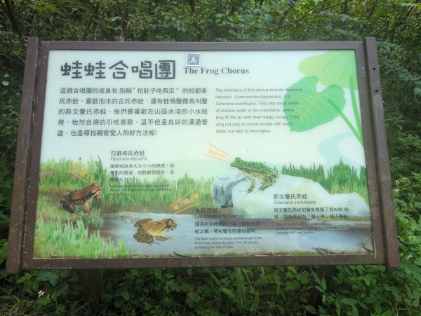 2025.08.09－新寮瀑布2856180