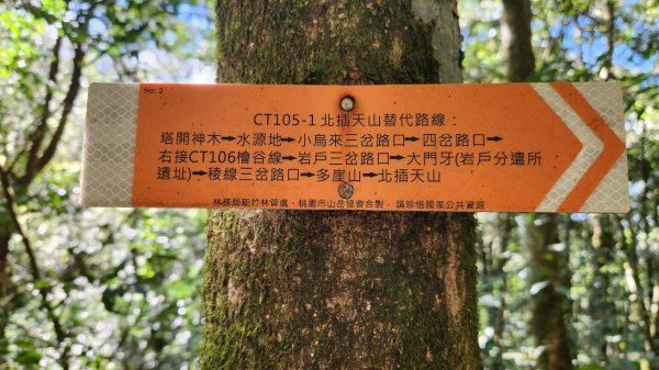 【中級山】插天山的奇幻世界，赫威山，赫威神木群步道2741323