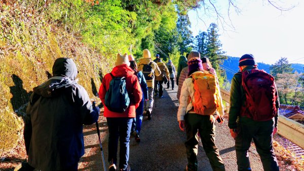 郡上八幡城的白帆2982596