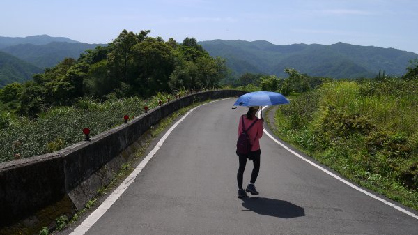 獅公髻尾山登山健行趣（郊山）1577786