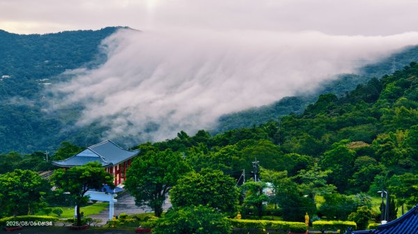 #新店四十份 #翡翠水庫壩頂 #夜景 #曙光 #雲海 #雲瀑 #藍腹鷴 8/6封面