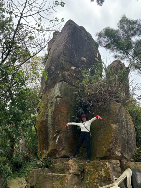 圓通寺烘爐地登山步道大O走3007146