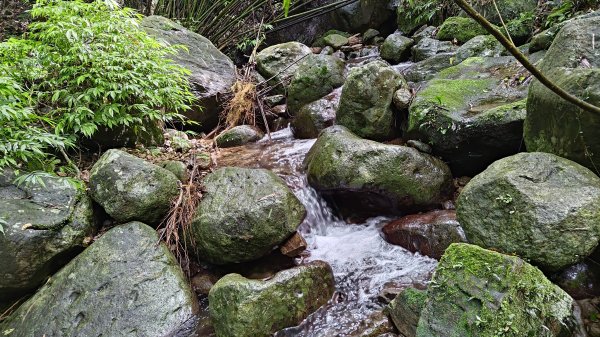 楊廷理古道2814600