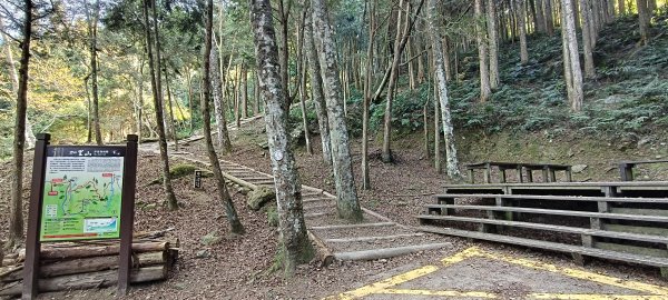 2026/03/18 加里山+大坪山 O型3019999