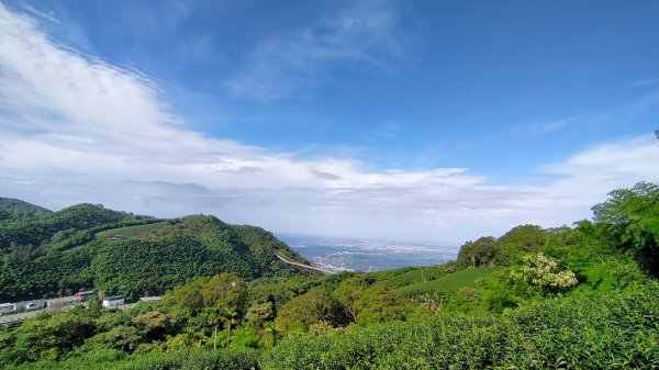 雲嘉五連峰2254919