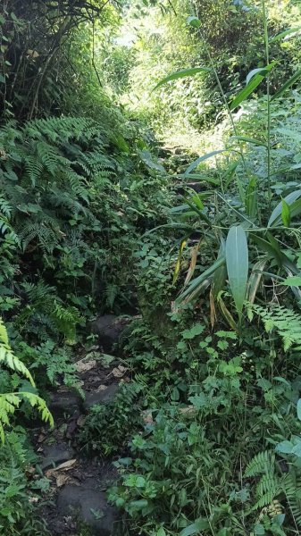 20251004 馬那邦山 - 珠湖 登山口2904880