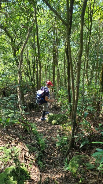 2023-11-19 楓林橋-溪山里山-甜水鴛鴦湖-帕米爾公園-聖人橋O型2352654