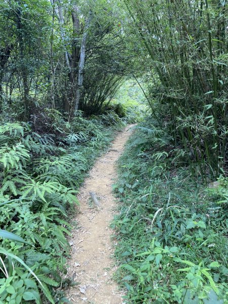 20250706-EP.07石光古道-2025森遊竹縣皮皮獅探險隊2851808