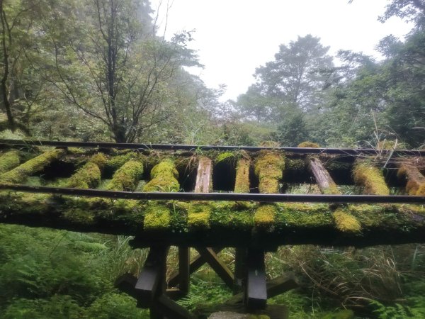 1150728太平山見晴懷古步道3096862