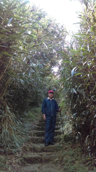 【臺北大縱走2】大屯山主峰、南峰、西峰914084